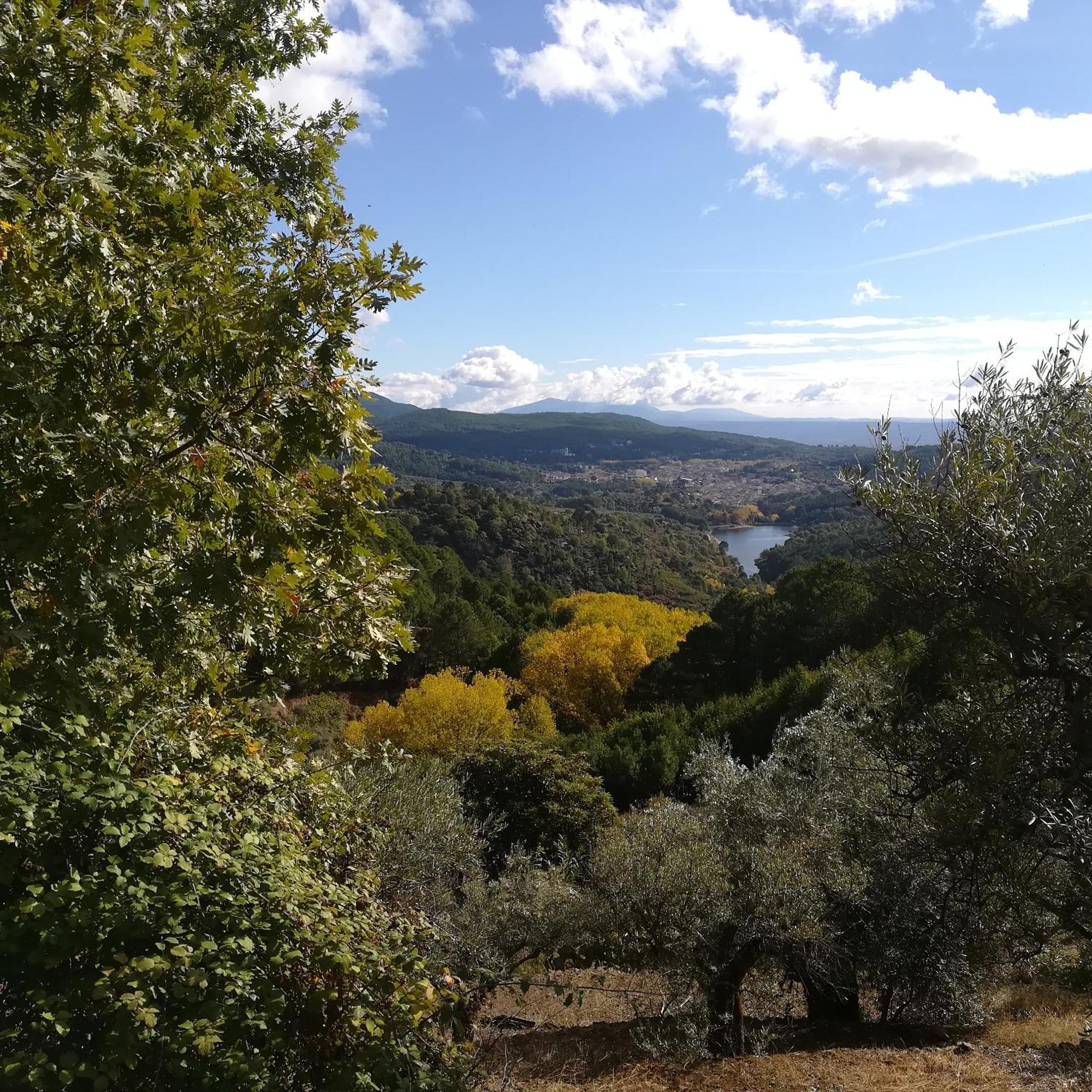 La Albarea By #Cherrygredos S’Arenal Exterior foto
